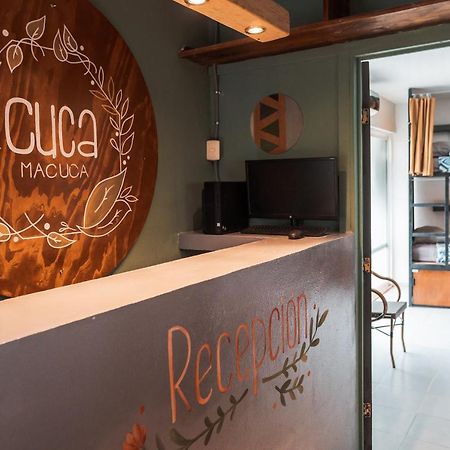 Hostal Cuca Macuca 莫雷洛斯港 外观 照片